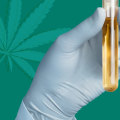 Can CBD Show Up in a Hair Test?