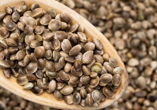 Can Hemp Seed Make You Fail a Drug Test?